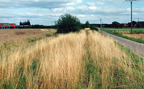 Xanten - Kleve: Zustand 2005