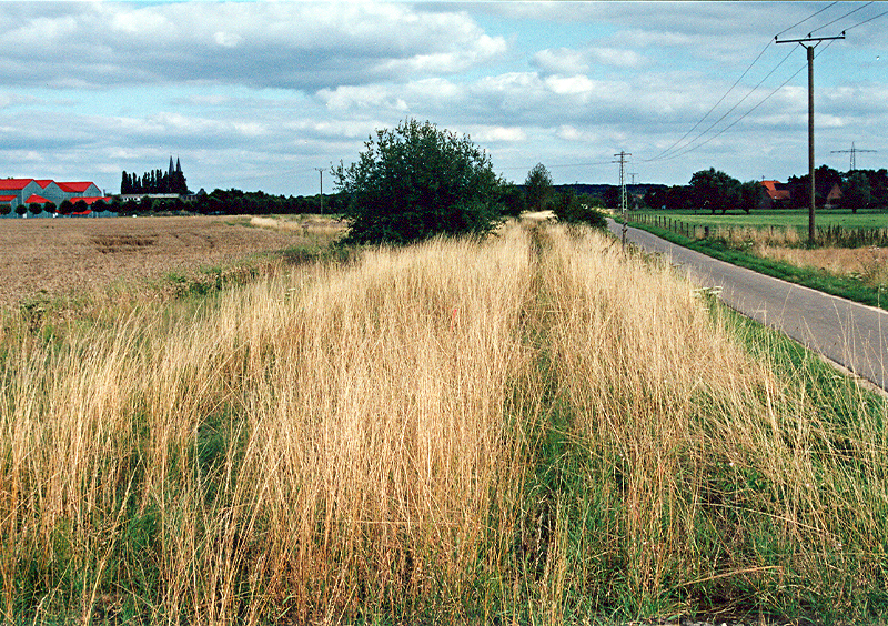 Xanten - Kleve: Zustand 2005